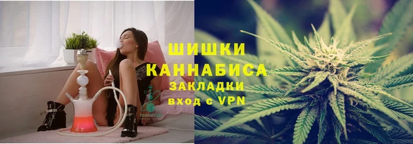 дживик Верхний Тагил