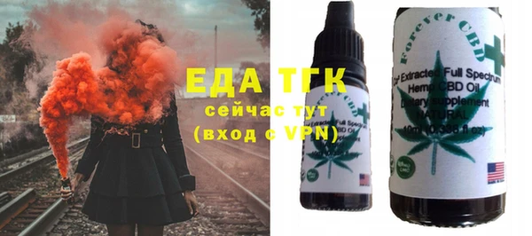 дживик Верхний Тагил