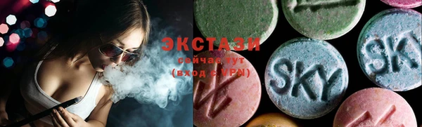 дживик Верхний Тагил