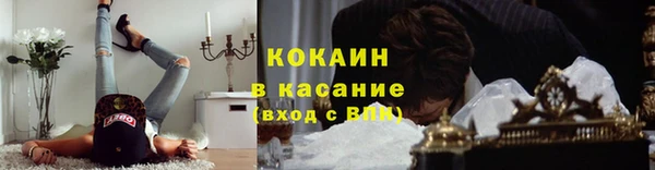 дживик Верхний Тагил